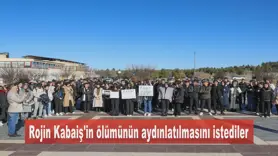 Rojin Kabaiş'in ölümünün aydınlatılmasını istediler