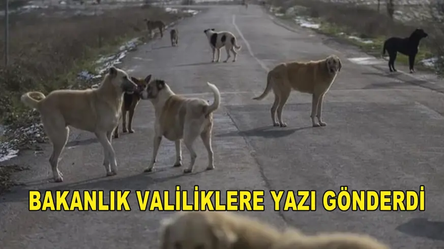 Bakanlık valiliklere yazı gönderdi