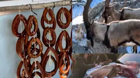 Dağ keçilerini avlayıp sucuk yapmış