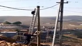 Köpekten kaçan kedi elektrik direğinde mahsur kaldı