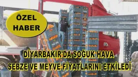 Diyarbakır'da soğuk hava sebze ve meyve fiyatlarını etkiledi
