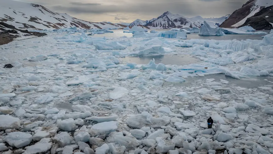 Antarktika'da insanların su ekosistemlerine etkileri