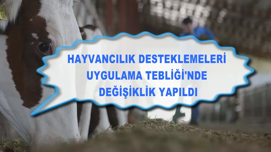 Hayvancılık Desteklemeleri Uygulama Tebliği'nde değişiklik yapıldı
