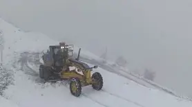 Diyarbakır’da kardan kapanan yollar ulaşıma açıldı