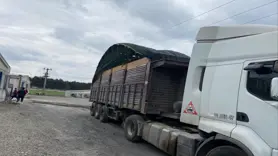 Elektrik akımına kapılan tır şoförü öldü