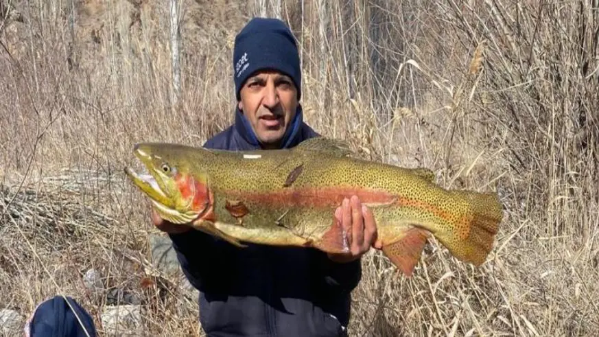 Dev somon şaşırttı