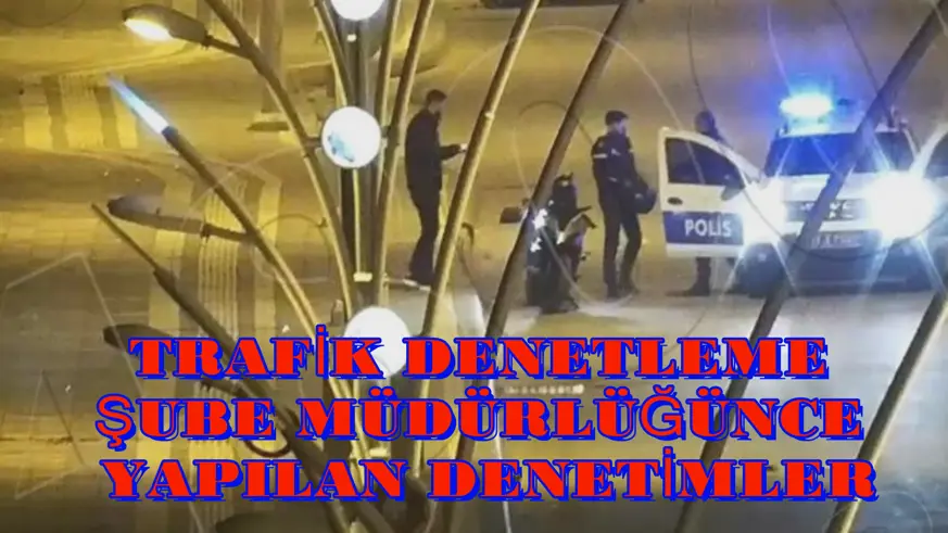 Trafik Denetleme Şube Müdürlüğünce yapılan denetimler