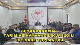 Diyarbakır'da tarım ve hayvancılıkla ilgili istişare toplantısı