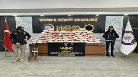 365 kilogram kokain ele geçirildi