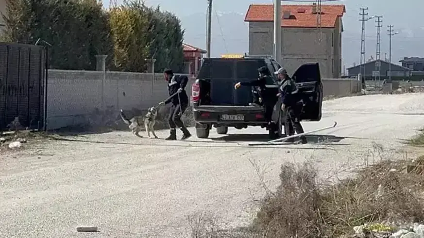 Köpek dehşeti: Rana öldü cenazesi Suriye’ye gönderildi