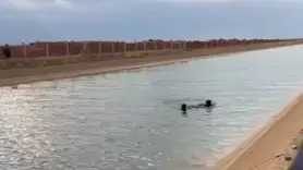 Sulama kanalına düşen çoban öldü