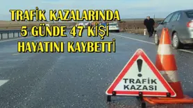 5 günde 47 kişi hayatını kaybetti