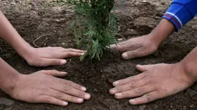 Diyarbakır'da çocuklar ve gençler fidan dikti