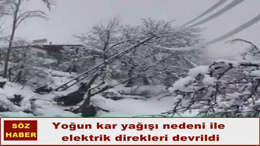 Yoğun kar elektrik direklerini devirdi