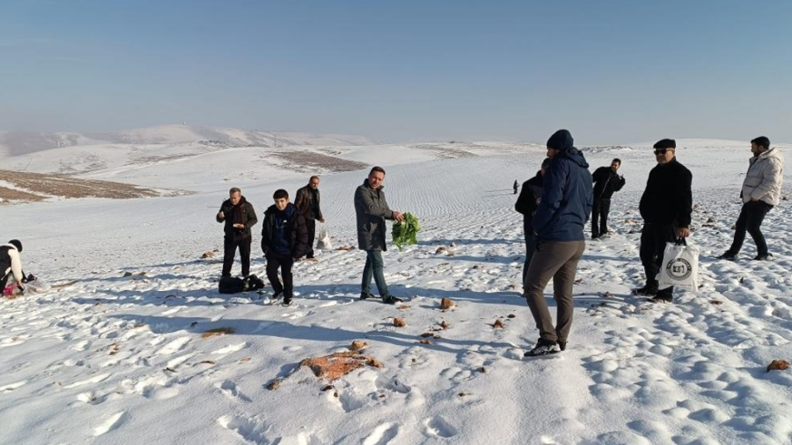 Batman’da yaban hayvanları için doğaya yem bırakıldı